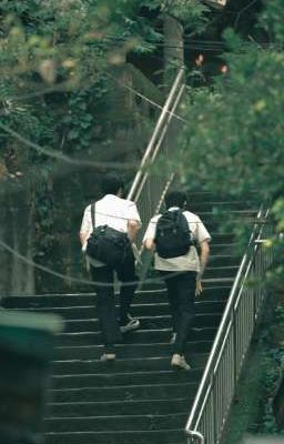 Tiếng chuông hè