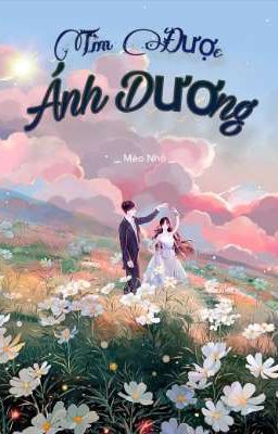 Tìm Được Ánh Dương 