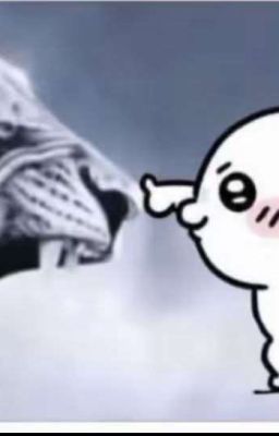 Tình