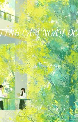 Tình cảm ngày đó