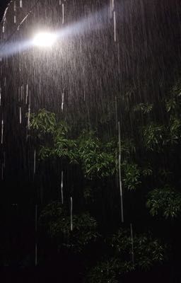 Tình cảm rối bời (eunsihae)