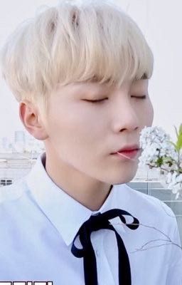 [Tình Cảm] ( SeungKwan) Anh là người làm con tim em dung dinh