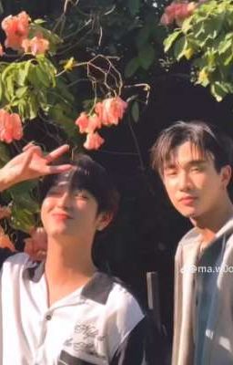 Tình yêu của Mafia