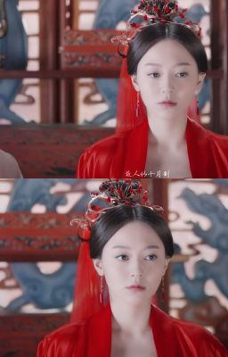 Tố Cẩm đồng nhân