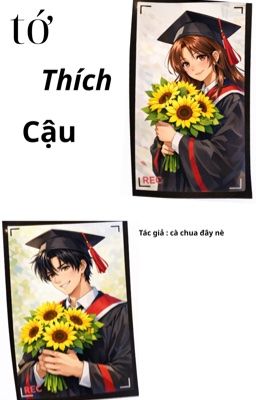 Tớ Thích Cậu