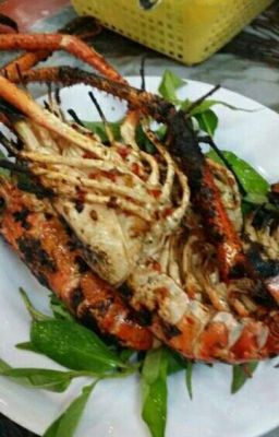 Tớ yêu cậu là sai sao (truyện les)