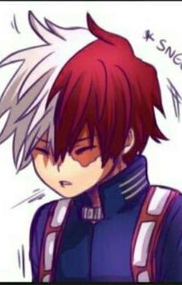 ~Todoroki Shouto~