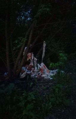 TỘI ÁI || SeanKeon 