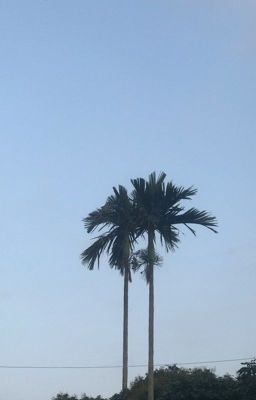 Tôi chỉ hơi cô đơn 