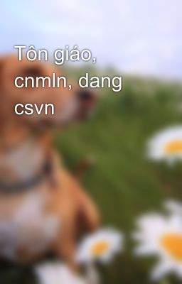 Tôn giáo, cnmln, dang csvn