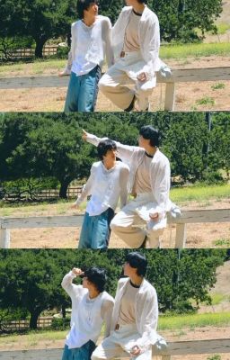 tonbin - midnight sun