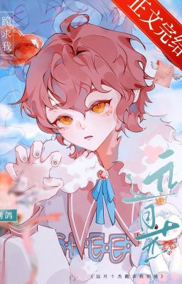 [Tống] Tōtsuki Jyūketsu quỳ cầu ta đừng trang-Biệt Cáp