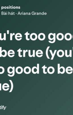 too good to be true 