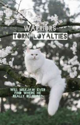 Torn Loyalties