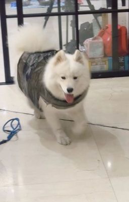 toxic ⊹ ࣪ ˖ clearable