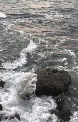 trà hoa đậu biếc.