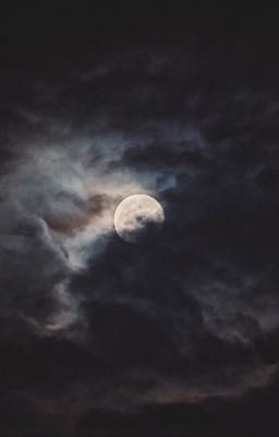 |TRẢ TEST| MOON NIGHT