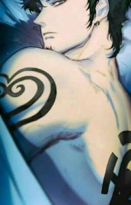   [ Trafalgar Law x Reader ] Tấm chân tình của anh 