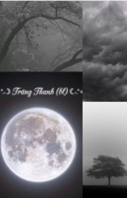 ⋆˖⁺‧₊☽ Trăng Thanh (bl) ☾₊‧⁺˖⋆