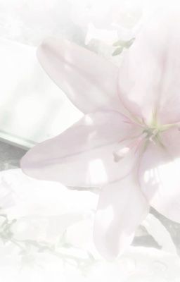 [TRANS] ChoRu | Nuốt hoa