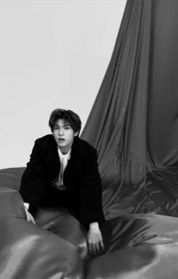 trans fic | ám hiệu