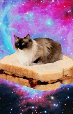 [trans] jiminjeong - caught on stream