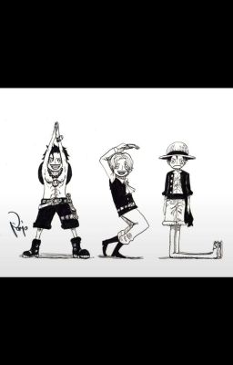 [TRANS• Slave Luffy] Condicionado