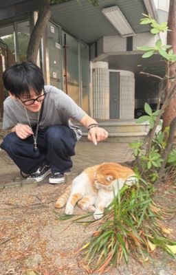 [TREASURE] Cái Tiệm Ồn Ào [JihoonxDoyoung]