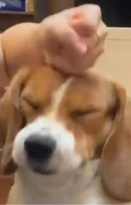 Trên triền núi và trên bờ biển