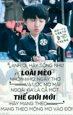 TRÍCH DẪN ( FANGIRL VÀ IDOL )