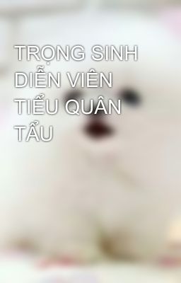 TRỌNG SINH DIỄN VIÊN TIỂU QUÂN TẨU