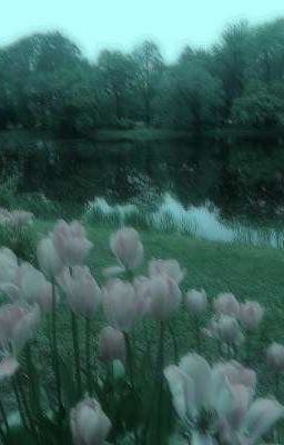 Trong tro tàn còn lại anh