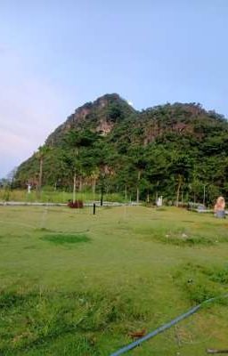 trường học Sky-line