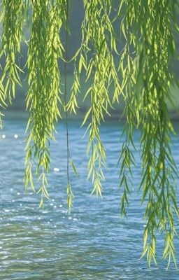 Truyện ngắn Đam mỹ Huấn văn