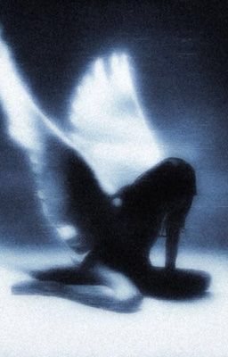 [TTxMT] Heaven And Back