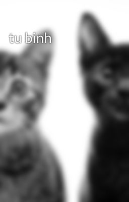 tu binh