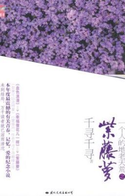 Tử đằng la - Thiên Tầm Thiên Tầm (daisy_chrys cv) Hiện đại