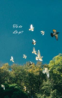 Tự do là gì?