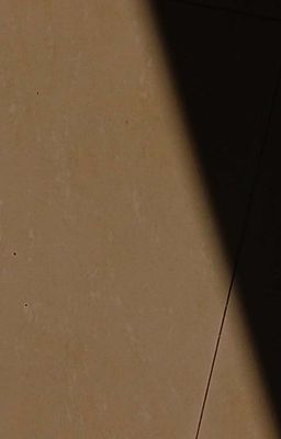 tự nói với mình