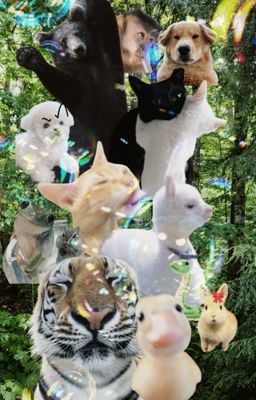 tui bic chơi game mò