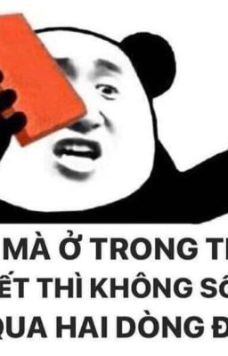 Từng Thích Cậu Ấy