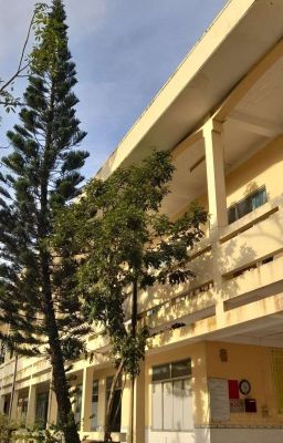 Tuổi xuân có cậu 