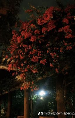 Tuyệt Lộ (jmj)