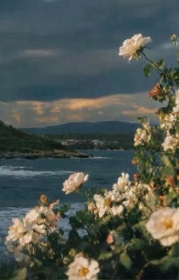 Tuyết trên mắt, nắng trong tim