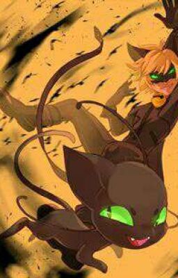Two Tails (A Chat Noir x Reader)