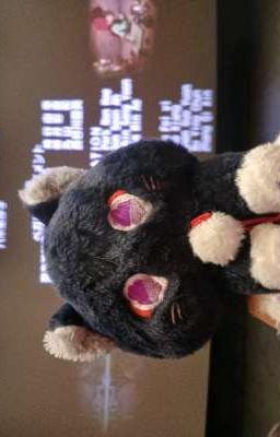 Văn án truyện Conan chuẩn bị edit