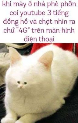 Vẫn Đéo Có Gì Đâu:))