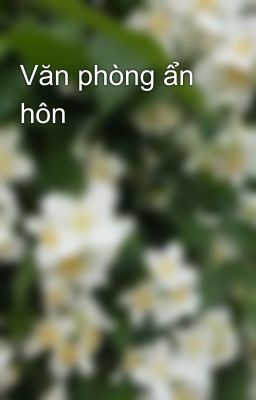 Văn phòng ẩn hôn