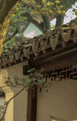 Vạn Vọng Thư (萬望書)
