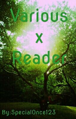 Various x Reader
